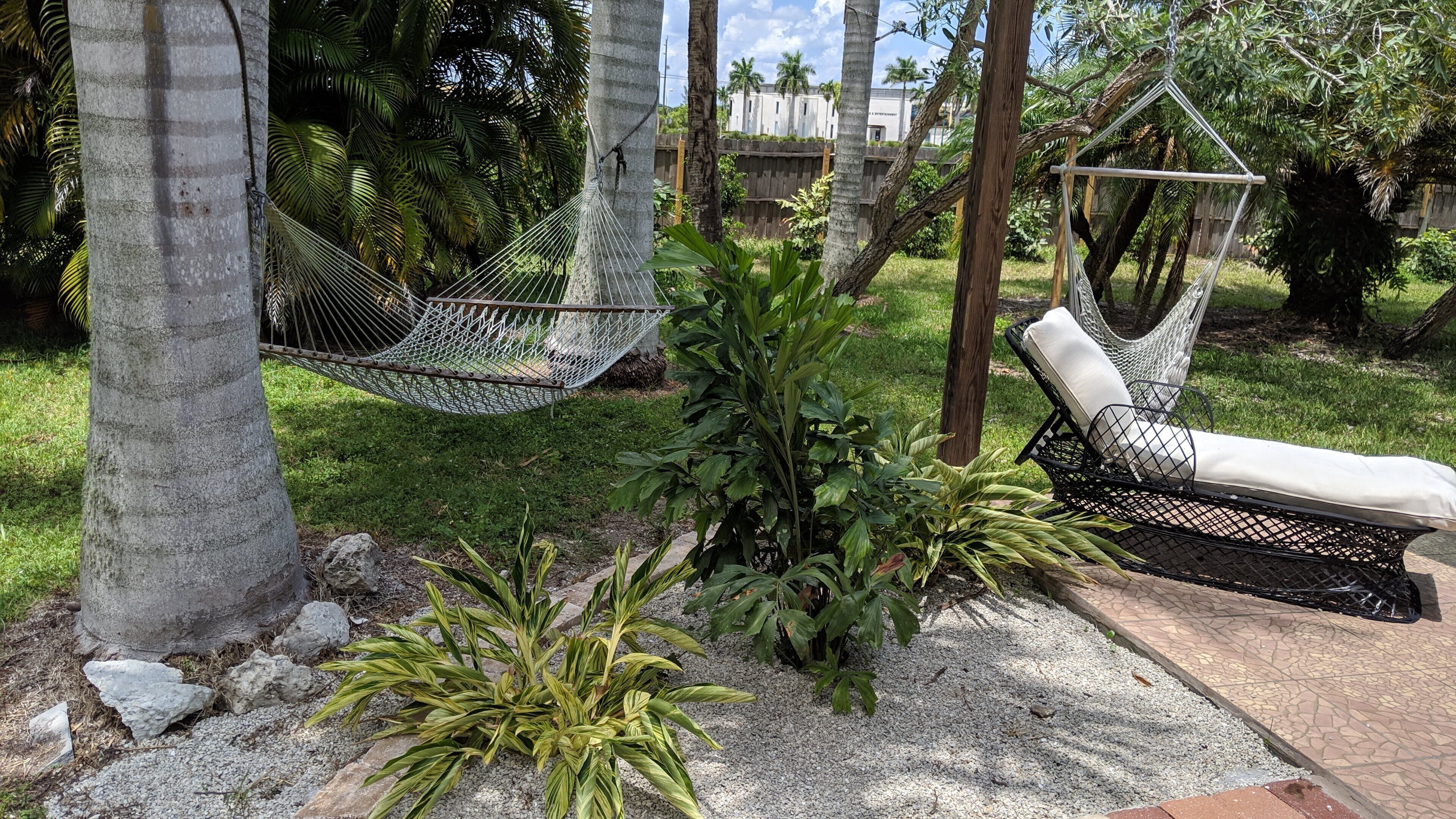 A hammock and a lounge chair in a garden with palm trees and plants.