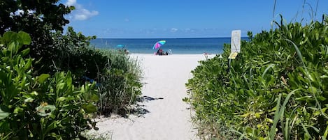 Chaises longues, serviettes de plage