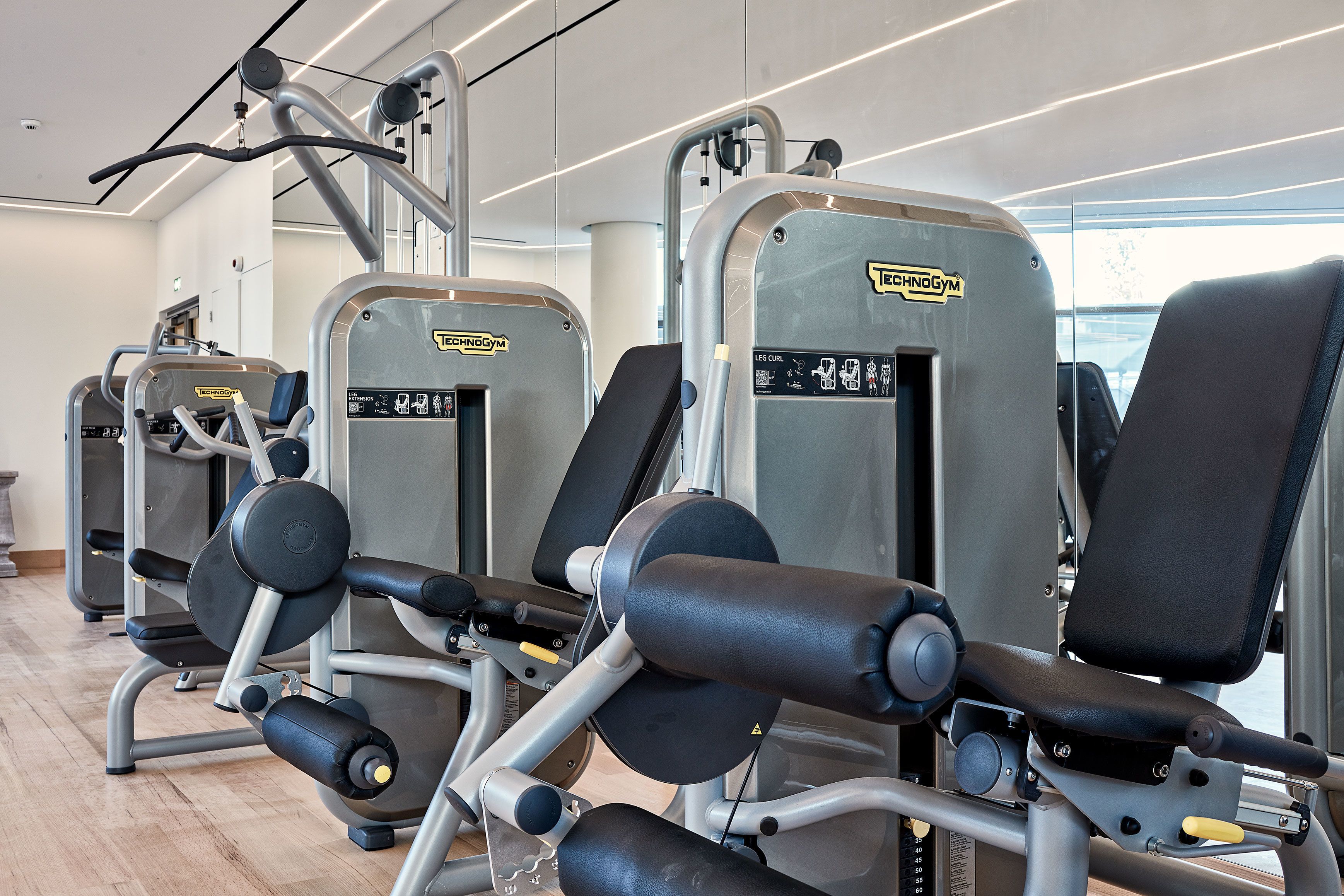 A row of leg curl machines in a gym with a modern design and large windows.