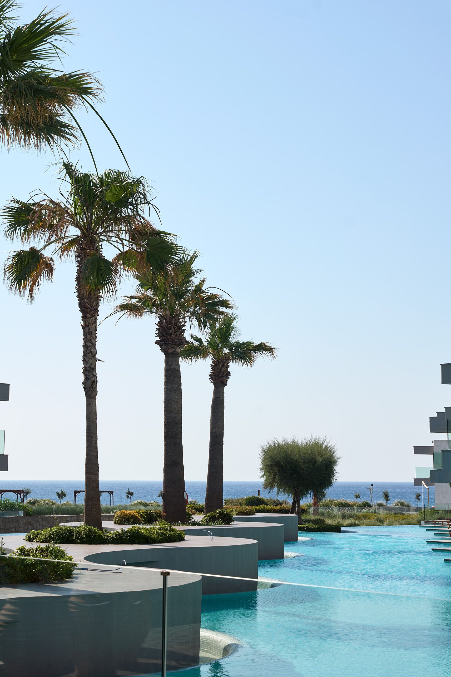 A pool area with palm trees and a view of the ocean.