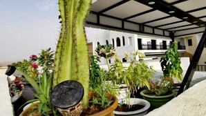 Property grounds - Cine House (Fes)