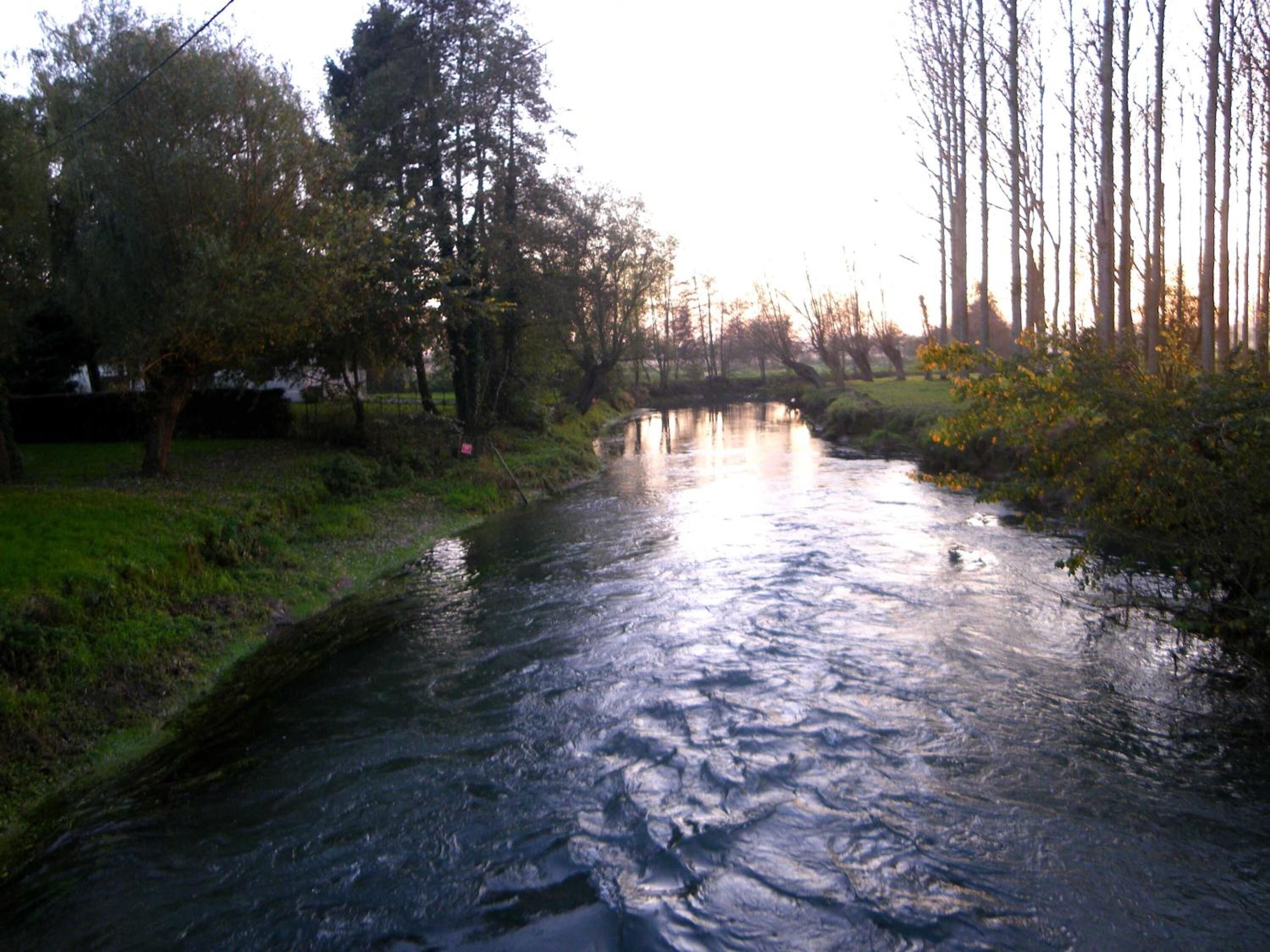 A calm river with trees on both sides, a grassy bank, and a clear sky.