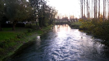 A calm river with trees on both sides, a grassy bank, and a clear sky.