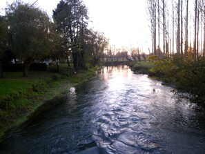 Un río tranquilo bordeado de árboles a ambos lados, una orilla cubierta de hierba y un cielo despejado.