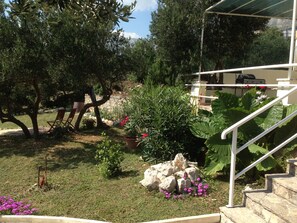 Parco della struttura