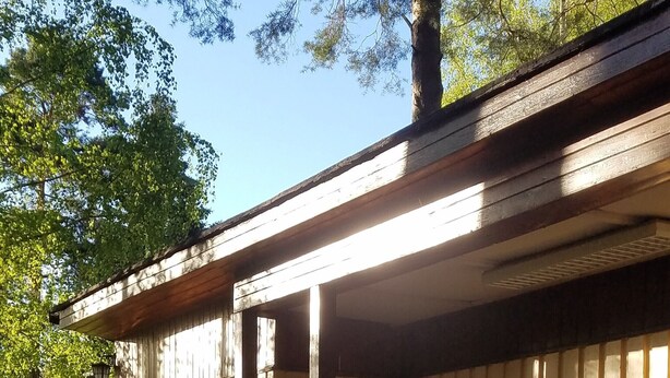 Ein Holzhaus mit Veranda, umgeben von üppigem Grün.