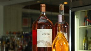 Two wine bottles with labels on a counter. - Harpoon House (Southampton)