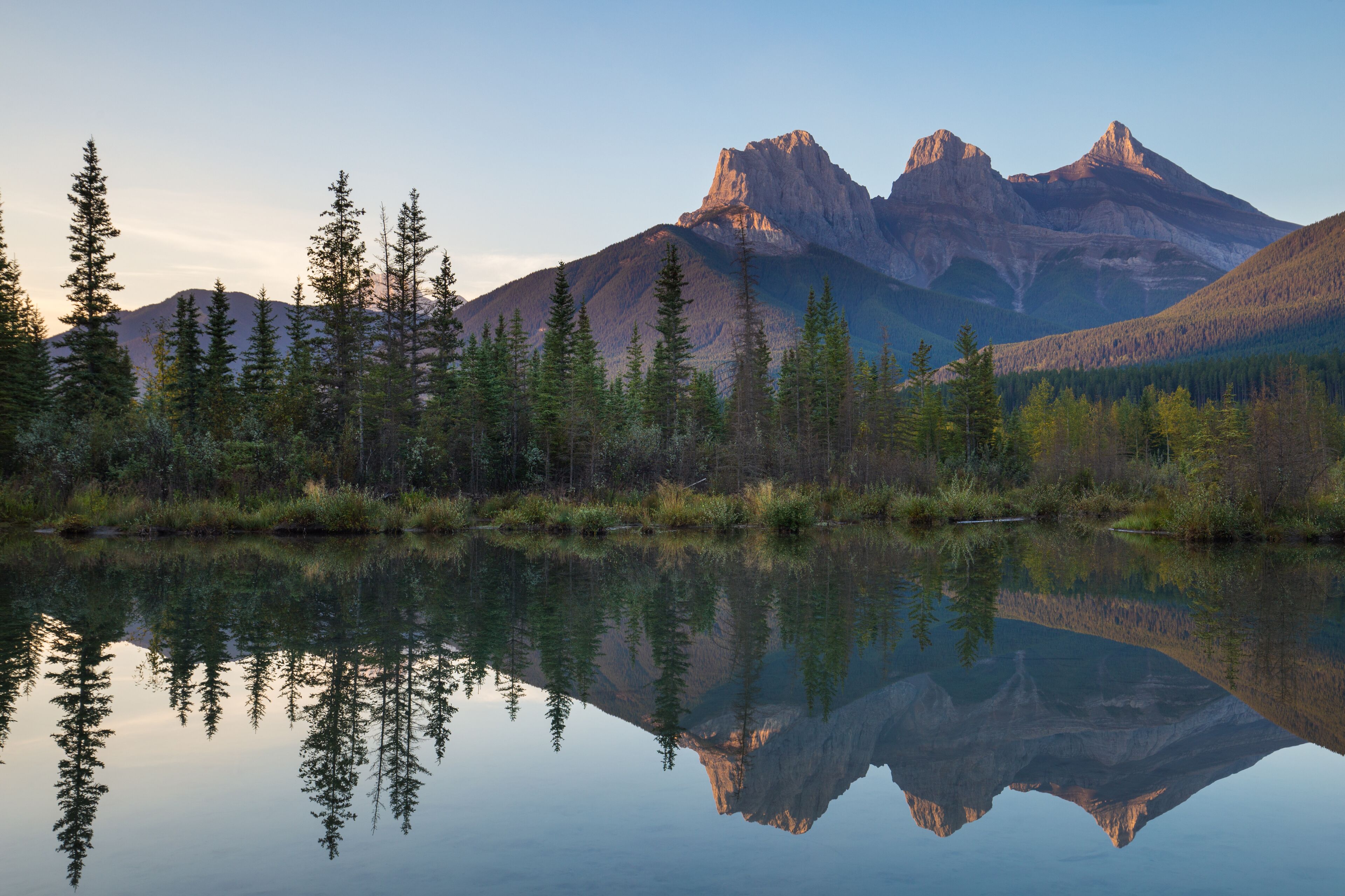 Un lago tranquilo que refleja una cordillera con un denso bosque en primer plano.