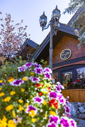Exterior - A Bear and Bison Inn (Canmore)