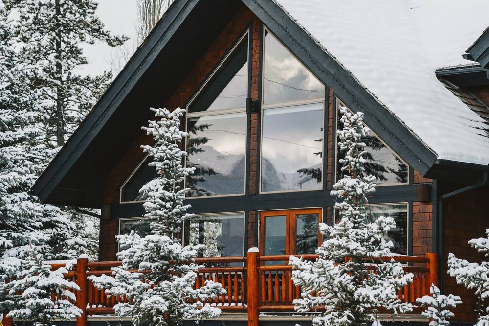 A Bear and Bison Inn