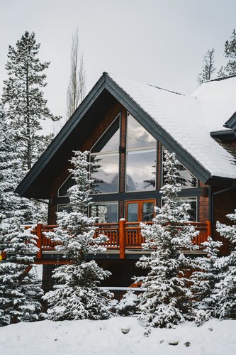 A Bear and Bison Inn