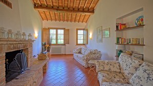 A living room with a fireplace, two sofas, a coffee table, and a bookshelf. - Beautiful private villa with WIFI, private pool, TV, terrace, pets allowed and panoramic view (Legoli)