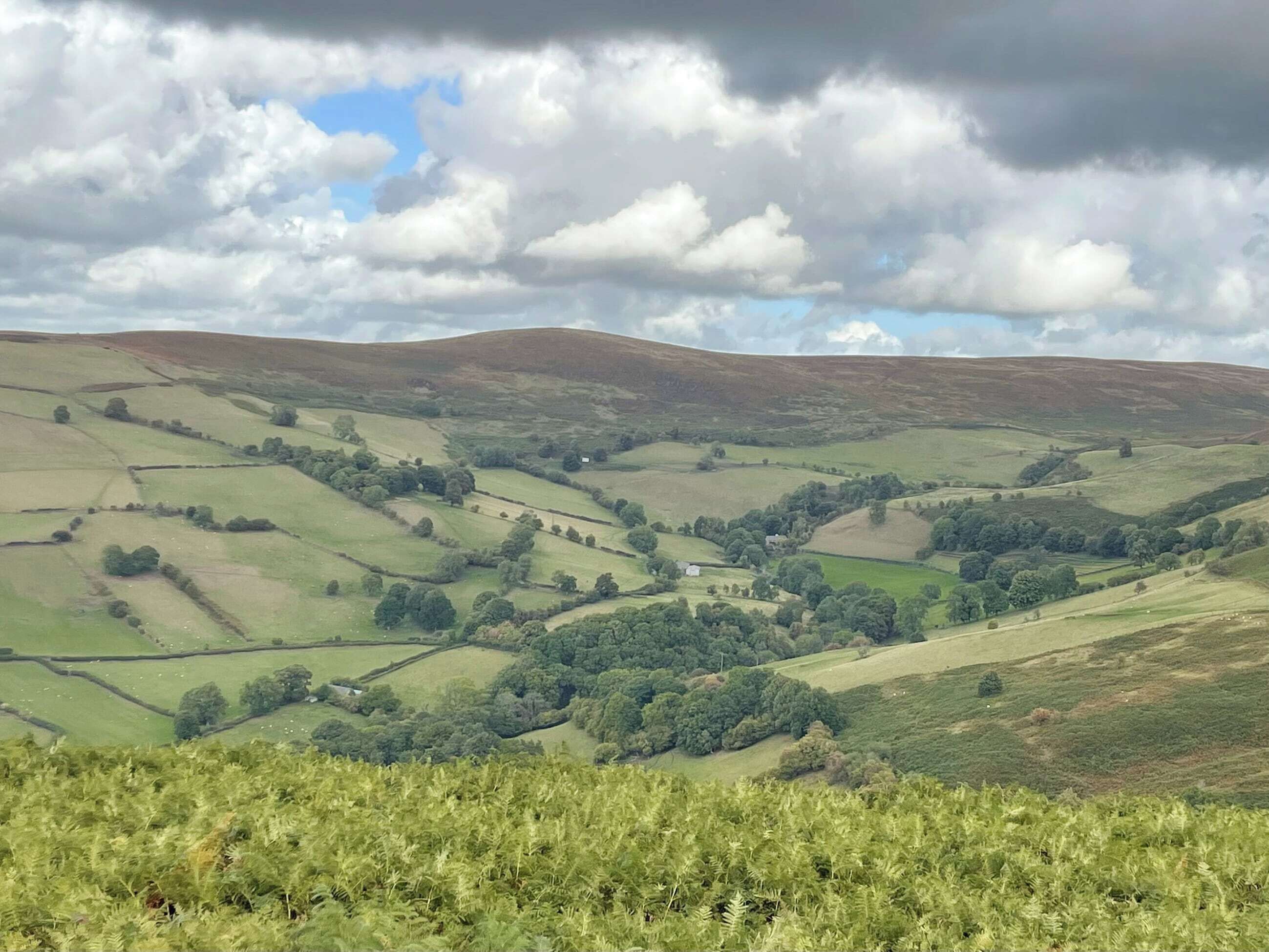 A panoramic view of rolling hills with scattered trees and a small house in the distance.