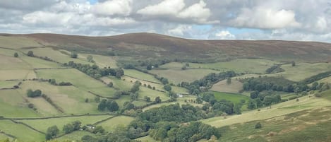 A panoramic view of rolling hills with scattered trees and a small house in the distance.