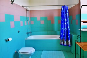 Een bad/douchecombinatie, een haardroger, een bidet, toiletpapier
