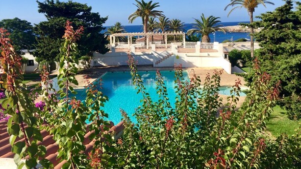 A swimming pool with a view of the sea, surrounded by palm trees and a covered area.