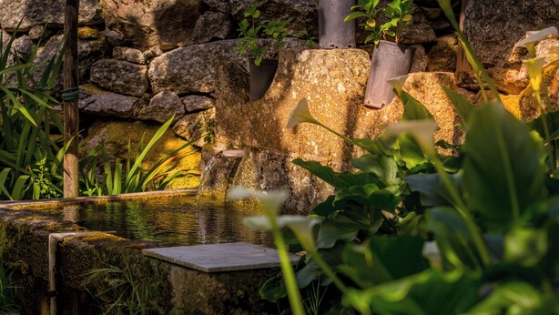 A stone wall with a water feature, potted plants, and a stone bench. - Lemon Tree at Terrus Winery (Barrô, Viseu)