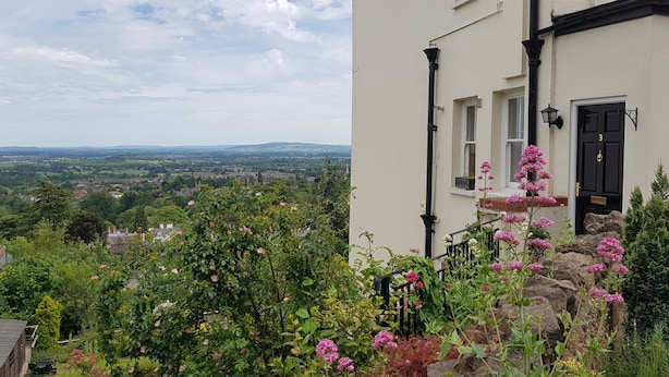Vista de un jardín con flores rosadas y un edificio con puerta y ventanas negras.