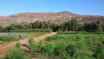 Quang cảnh nhìn từ nơi lưu trú