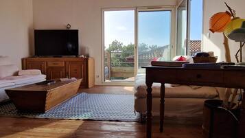 Televisión y libros