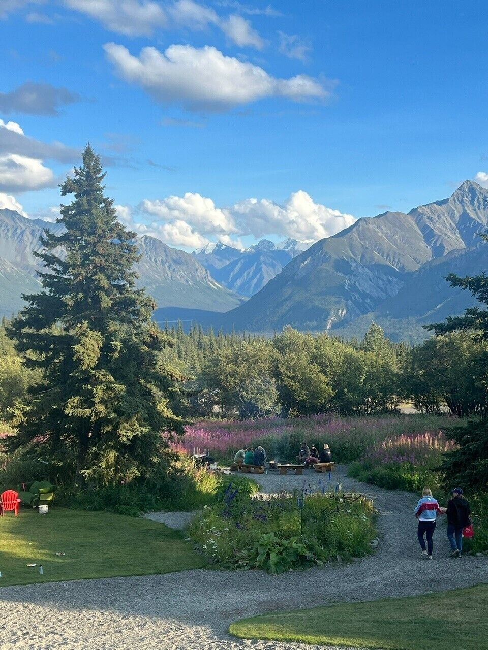 A mountainous landscape with a clear sky, a large evergreen tree, and a gravel path.