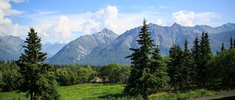 A mountainous landscape with green fields and trees.