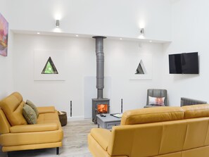 TV, fireplace - 3 bedroom accommodation in Laurieston, near Gatehouse of Fleet (Laurieston, near Gatehouse of Fleet)
