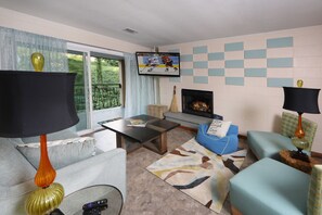 TV, fireplace, books, video library