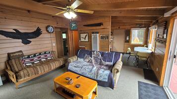 Smart TV, fireplace, books, video library