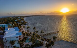 A coastal resort with a beach, palm trees, and a pier.