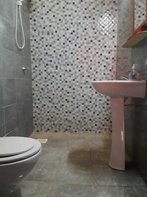 Eenvoudige tweepersoonskamer, 2 queensize bedden | Badkamer | Een douche, zeep, shampoo, toiletpapier