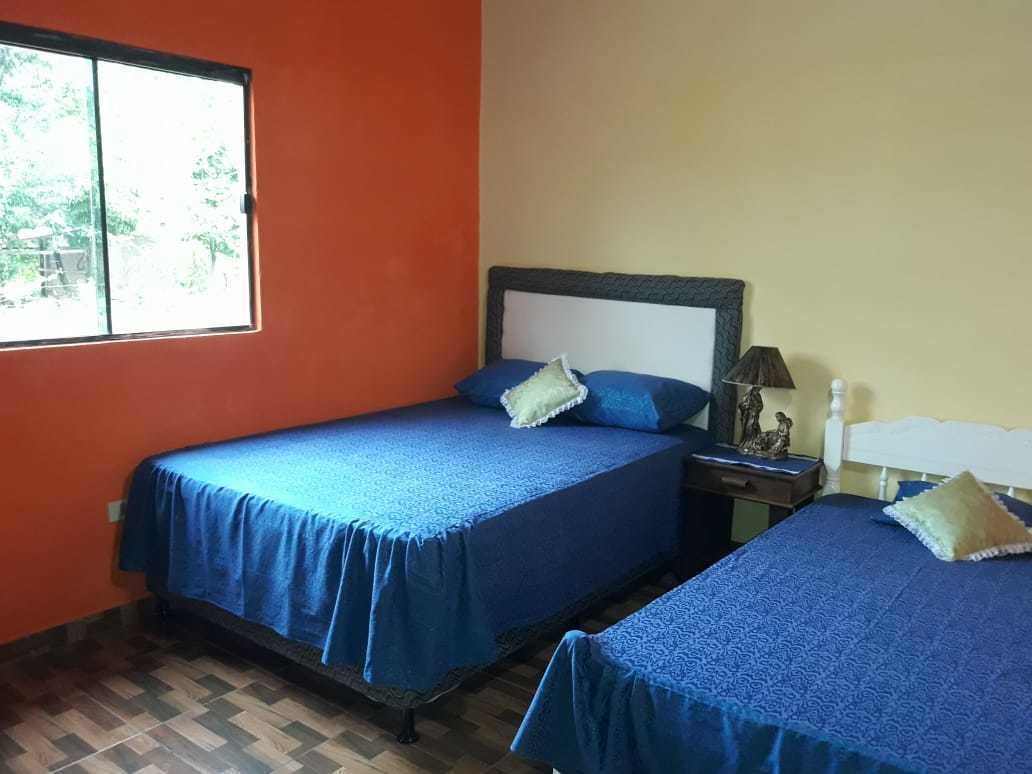 Una habitación con dos camas, cada una con una colcha y almohadas azules, una mesita de noche con una lámpara y una ventana con vista a la vegetación.