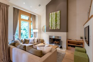 TV, fireplace, DVD player