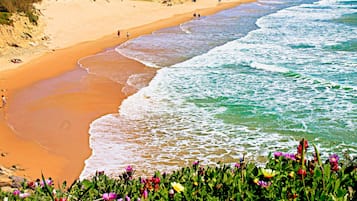 Vlak bij het strand