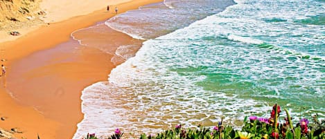 Playa en los alrededores
