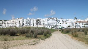 A coastal road leading to a row of white buildings with balconies, some with palm trees.