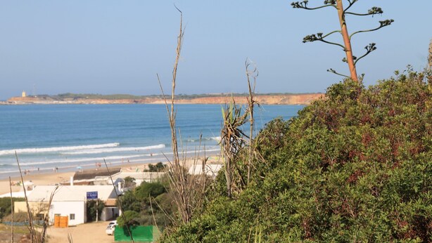 Vista costera con playa, océano y un edificio de techo verde.