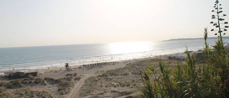 Vlak bij het strand