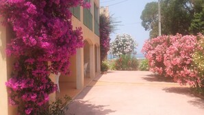 En byggnad med en gul fasad, rosa bougainvillea-rankor och fri utsikt mot himlen.
