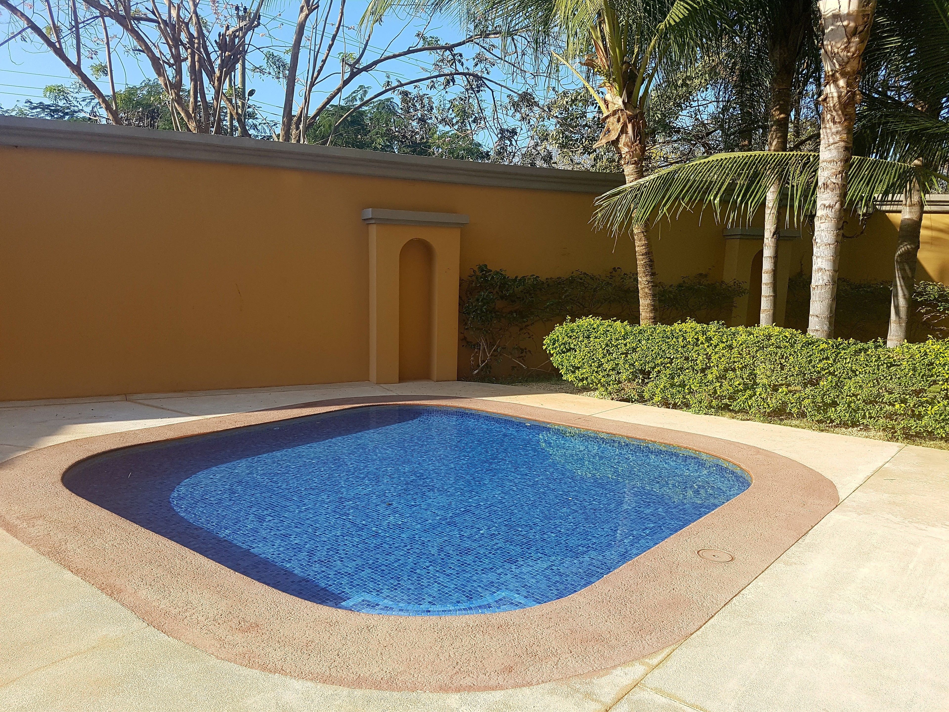 Una piscina con borde de azulejos, rodeada por un muro color beige y palmeras.
