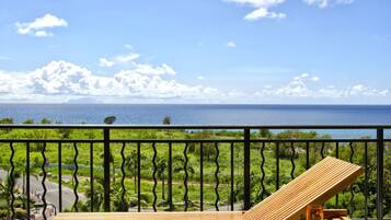 Beach/ocean view