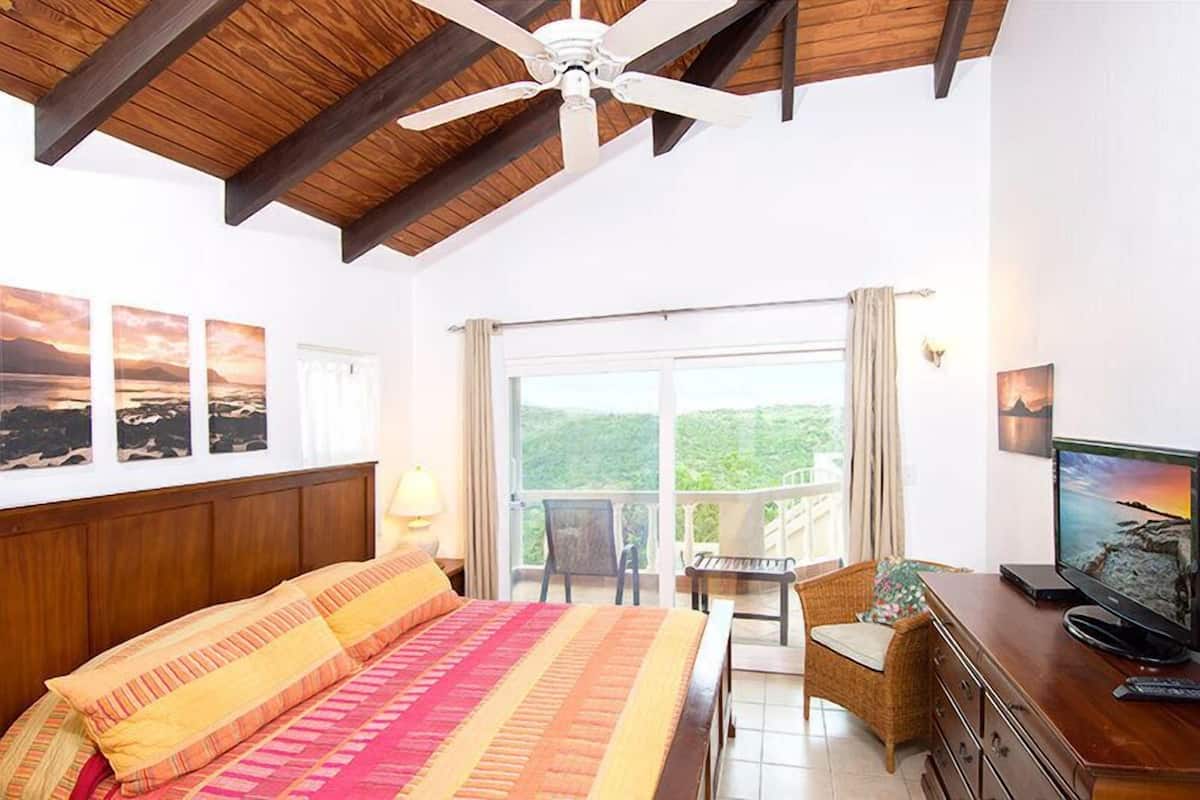 A bedroom with a bed, a television, a ceiling fan, and a balcony with a view of the landscape.