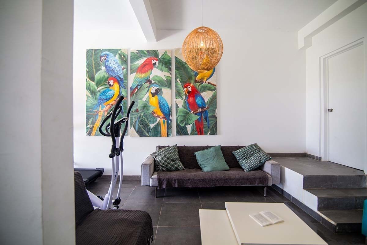 A modern living room with a sofa, a coffee table, and a wall-mounted exercise bike. There are three colorful paintings of parrots on the wall.