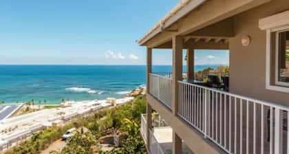 Bougainvillea by Island Properties Online