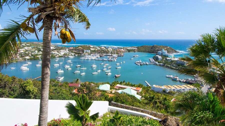 Paradiso by Island Properties Online