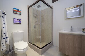 A modern bathroom with a glass-enclosed shower, a toilet, a sink with a mirror, and two wall-mounted pictures.