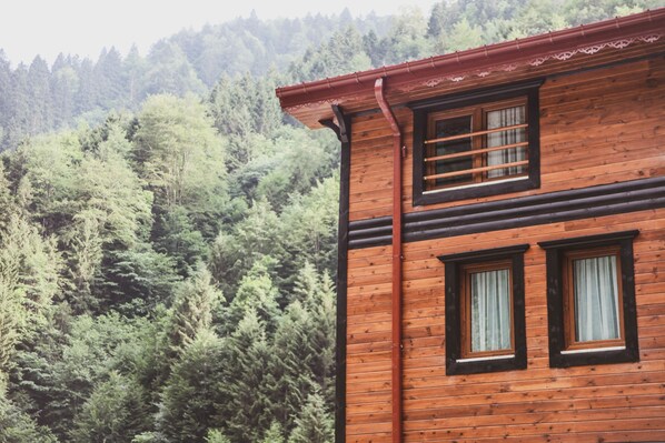 Deluxe Penthouse | Mountain view