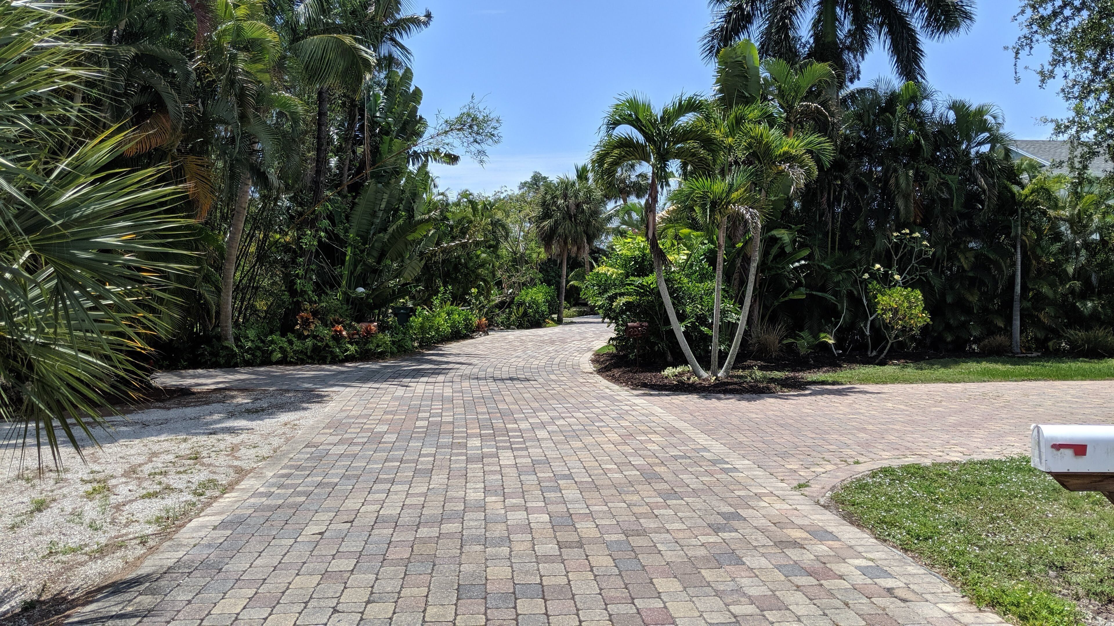 A paved pathway leading through a lush garden with various tropical plants and trees.
