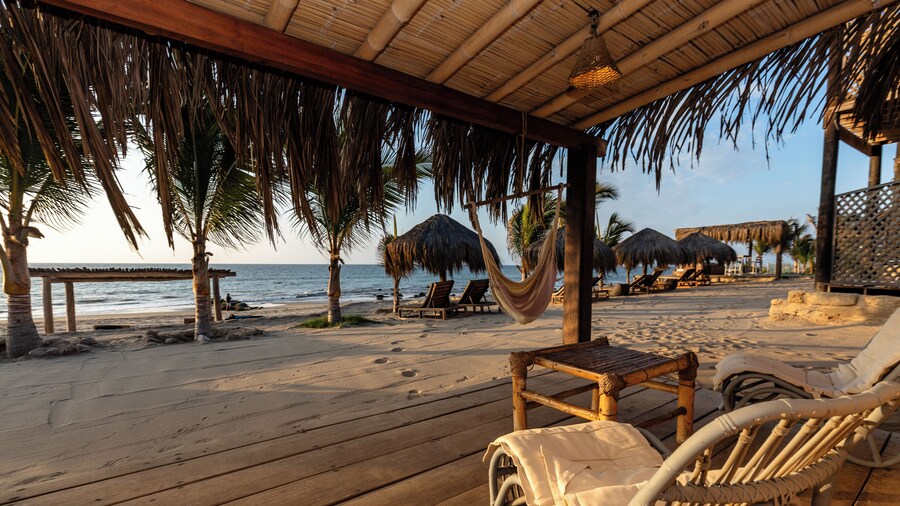 Hoja de Palma Bungalows