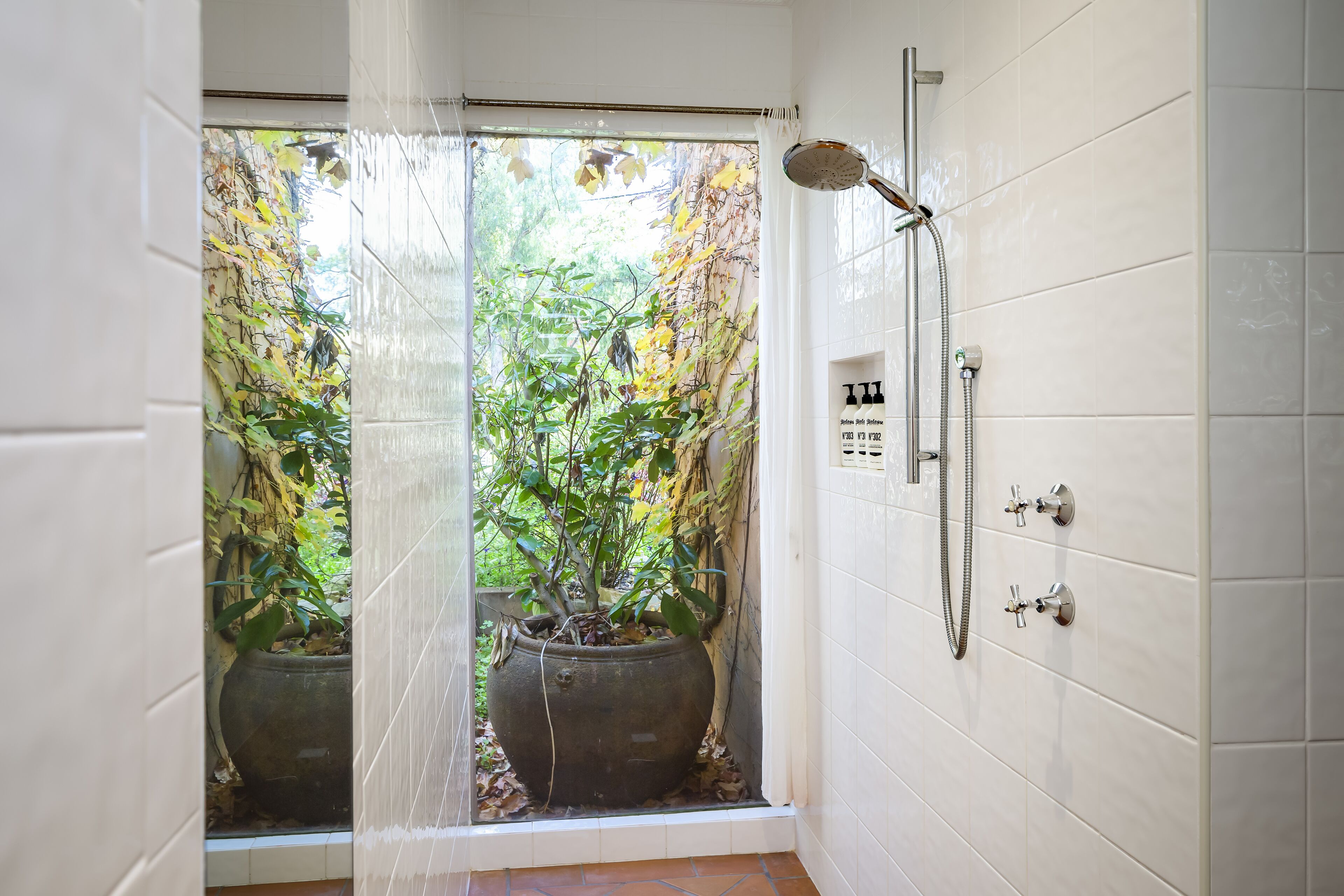 A shower with a glass door, a potted plant, and a tiled wall.